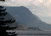 Columbia Gorge near Highland