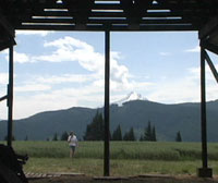 View from the hay barn with Mt. Hood